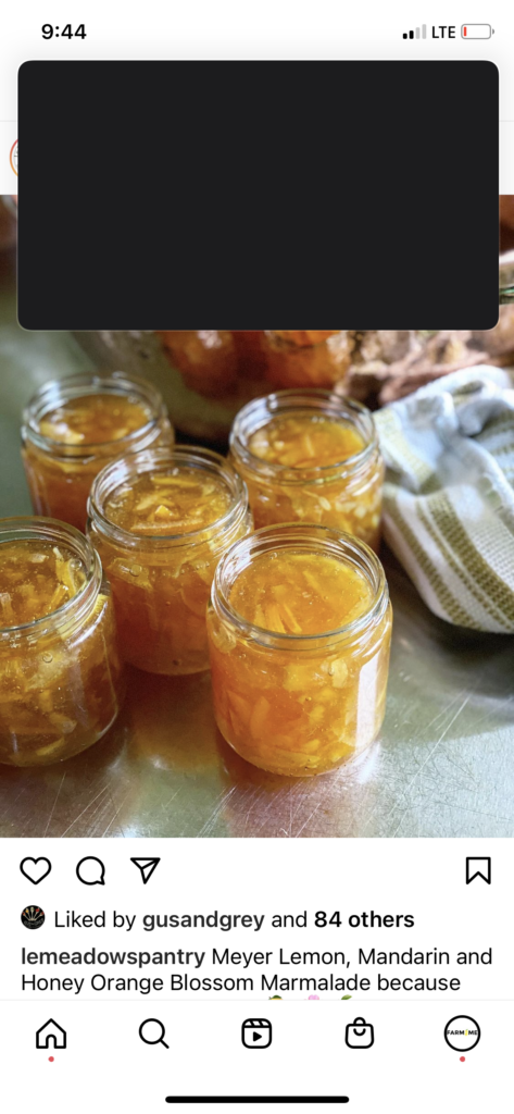 LeProvidence-Mandarin-Orange-Blossom-Marmalade