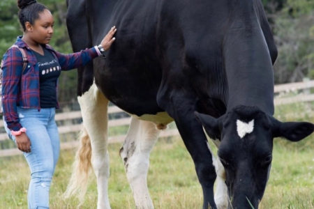 UN: Dairy Industry Silenced Teen Climate Activist