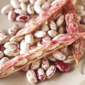 Shell Beans - Farm2Me Blog - Farmish