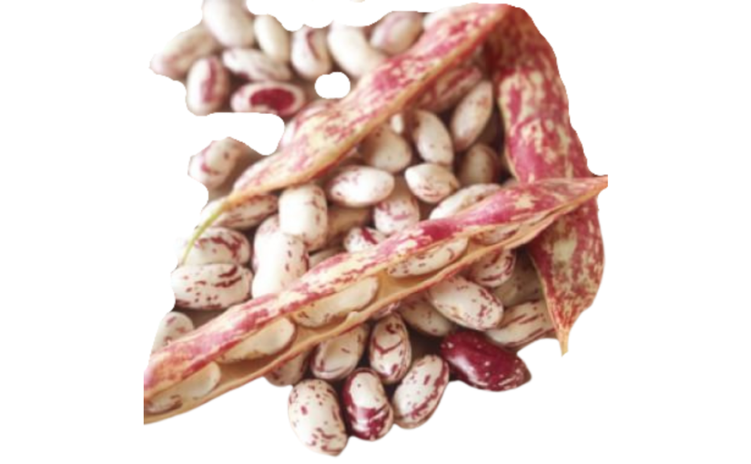 How To Cook Fresh Shell Beans